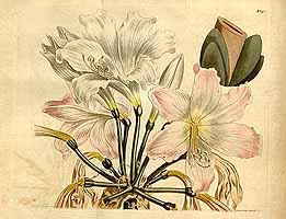  no thumbnail available