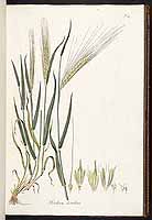  no thumbnail available