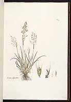  no thumbnail available