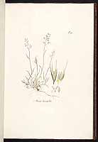  no thumbnail available