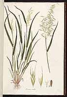  no thumbnail available