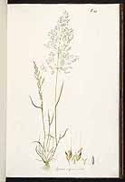  no thumbnail available