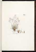  no thumbnail available