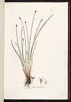  no thumbnail available