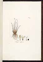  no thumbnail available