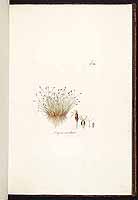  no thumbnail available