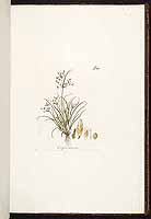  no thumbnail available