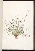  no thumbnail available