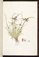  no thumbnail available