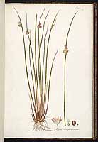  no thumbnail available