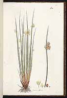  no thumbnail available