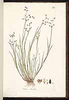  no thumbnail available