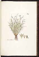  no thumbnail available