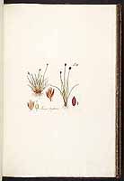  no thumbnail available