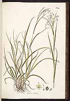  no thumbnail available