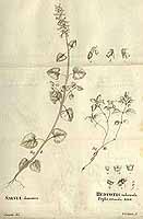  no thumbnail available