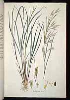  no thumbnail available