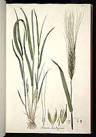  no thumbnail available