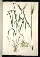  no thumbnail available