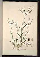  no thumbnail available