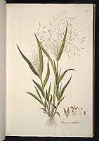  no thumbnail available