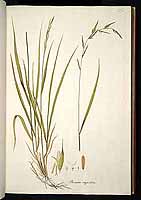  no thumbnail available