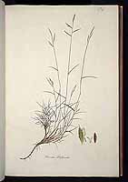  no thumbnail available