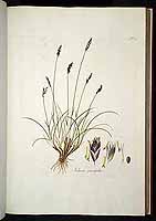  no thumbnail available