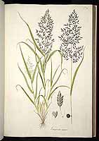  no thumbnail available