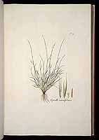  no thumbnail available