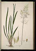  no thumbnail available