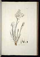  no thumbnail available