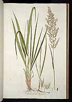  no thumbnail available