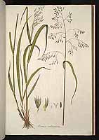  no thumbnail available