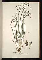  no thumbnail available