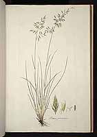  no thumbnail available