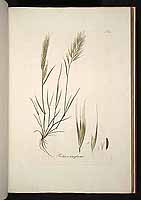  no thumbnail available