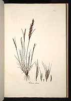  no thumbnail available