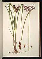  no thumbnail available