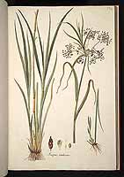  no thumbnail available