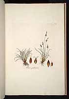  no thumbnail available