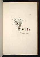  no thumbnail available