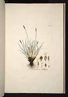  no thumbnail available