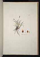  no thumbnail available