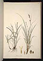  no thumbnail available