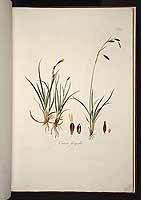  no thumbnail available