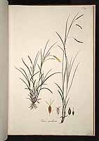  no thumbnail available