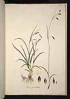  no thumbnail available