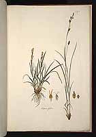  no thumbnail available