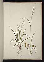  no thumbnail available